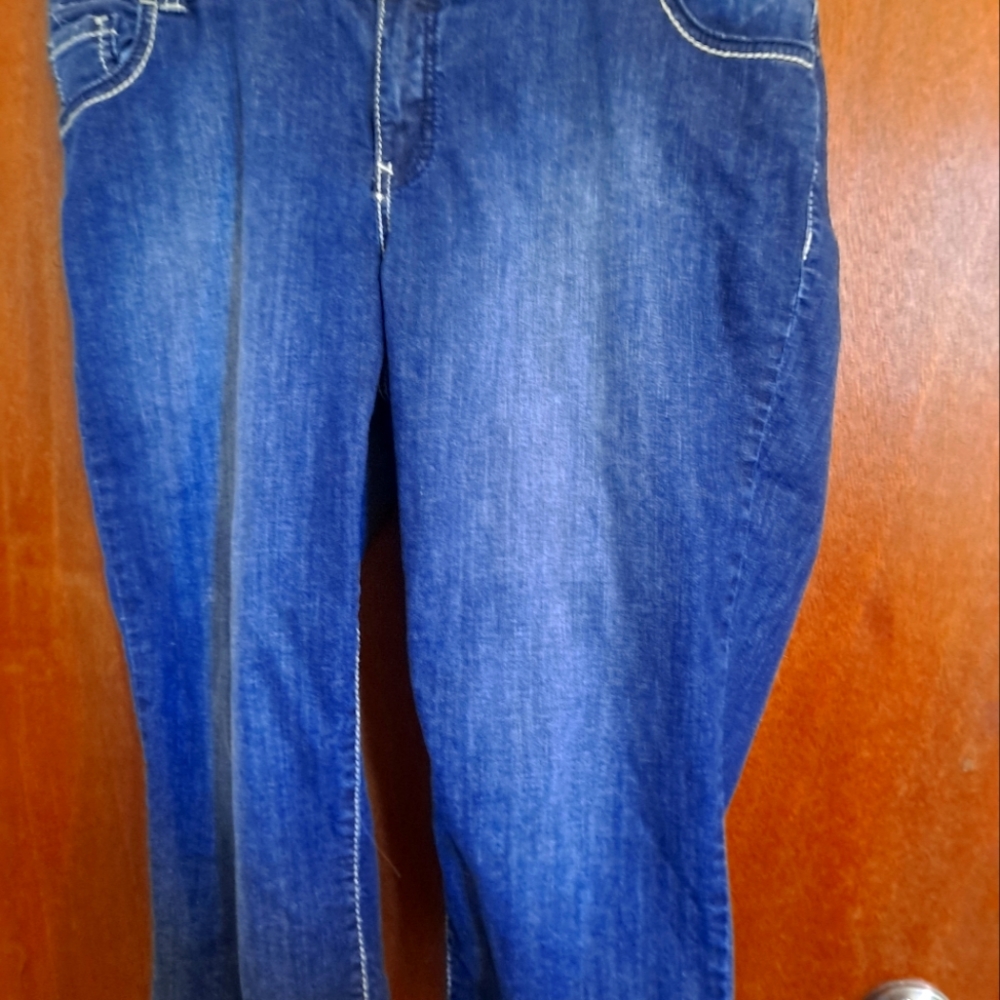 Lane Bryant capri 20